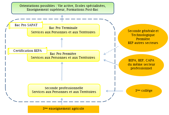 Bac Pro SAPAT : Services aux Personnes et aux Territoires